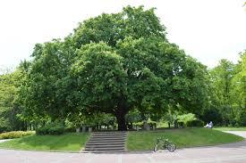 Park Kultury i Wypoczynku w Słupsku